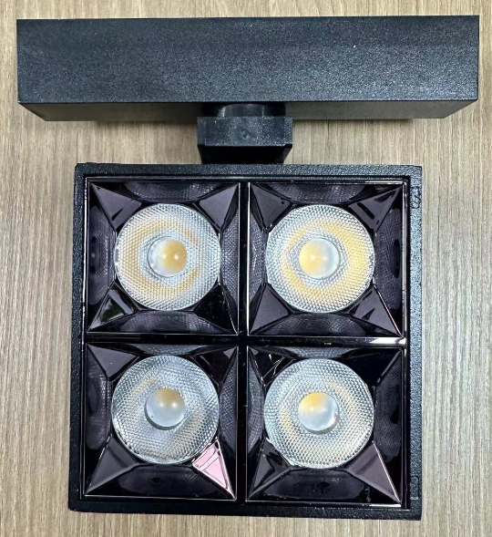 16-Magnetic Track Light Series - RDGDC